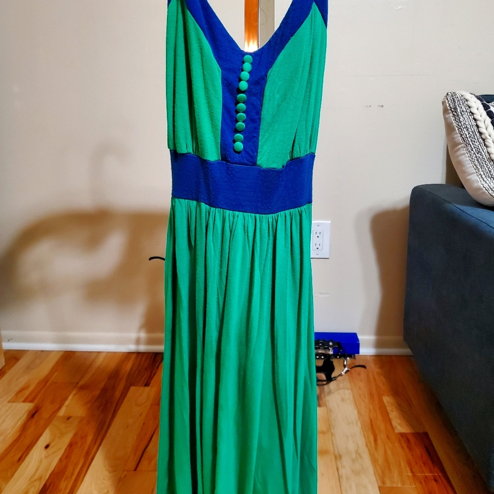 Stunning Retro Dress